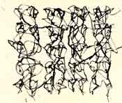 brice marden "cold mountain"