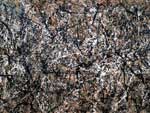 Pollock